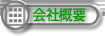 ЊTv